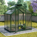 Serre Triton 2,5m² en aluminium émeraude et panneaux de polycarbonate 4mm - Vitavia