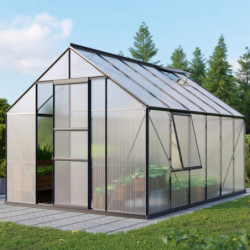 Serre de jardin Meridian1 9,9m² en aluminium noir et polycarbonate 4mm – Vitavia