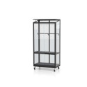 Mini-serre Polis 0,35m² en alu noir et verre ESG 3mm – sur roulettes – Vitavia