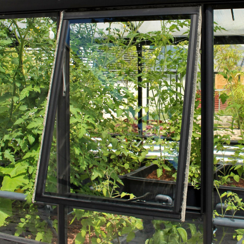 Fenêtre latérale H – alu noir et verre ESG 3mm – pour serres de jardin Vitavia