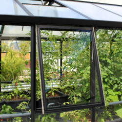 Fenêtre latérale Z – alu noir sans vitrage – pour serres de jardin Vitavia