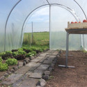 Serre tunnel Essentielle à pieds arrondis 3x7,5m avec bâche PE 200µ - Serres Tonneau