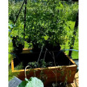 Extension 3 grands plants pour kit aquaponique - MyFarm