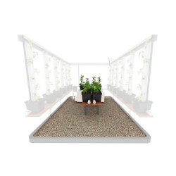 Extension 12 grands plants pour kit aquaponique - MyFarm