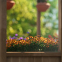 Serre en bois et polycarbonate transparent 12m² Natura - Canopia by Palram