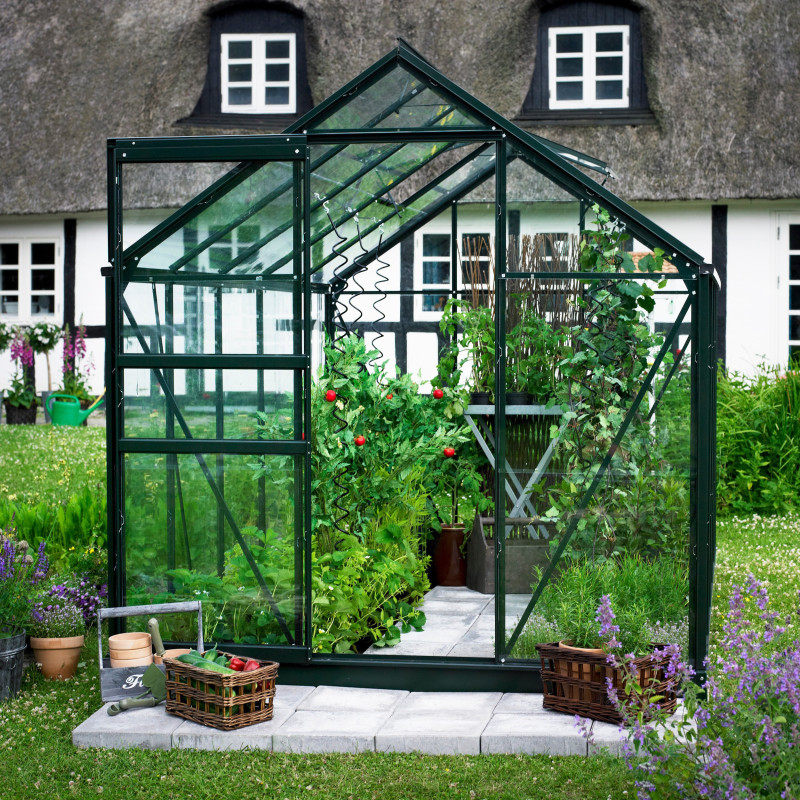 Serre de jardin 6,2m² verte et verre horticole Popular - Halls