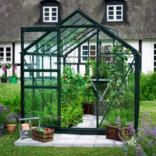 Serre de jardin 6,2m² verte et verre horticole Popular - Halls