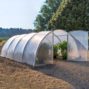 Serre tunnel maraîchère semi professionnelle 27m² avec 2 portes - RICHEL