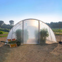 Serre tunnel maraîchère semi professionnelle 27m² avec 2 portes - RICHEL