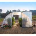 Serre tunnel maraîchère semi professionnelle 27m² avec 2 portes - RICHEL