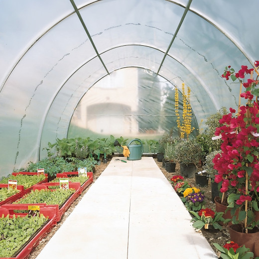 Serre tunnel maraîchère semi professionnelle 40,55m² avec 2 portes - RICHEL