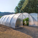 Serre tunnel maraîchère semi professionnelle 54m² double porte - RICHEL