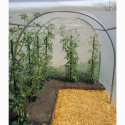 Serre tunnel de culture pieds droits 6m² RICHEL