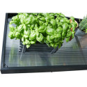 Etagère en aluminium laqué noir 15x213cm pour serre de jardin Juliana