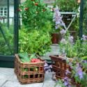 Serre de jardin 5m² verte en verre horticole Popular - Halls