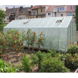 Serre de jardin 303x601cm 18,21m² en polycarbonate 8mm VARIANT - Limes