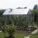 Serre de jardin 249x306cm 7,62m² en verre cathédrale 4mm VARIANT, Limes