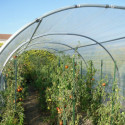 Abri de culture semi professionnel 8m² - RICHEL