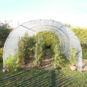 Abri de culture semi professionnel 8m² - RICHEL