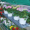 Doubles étagères en PVC  pour serre de jardin - Palram