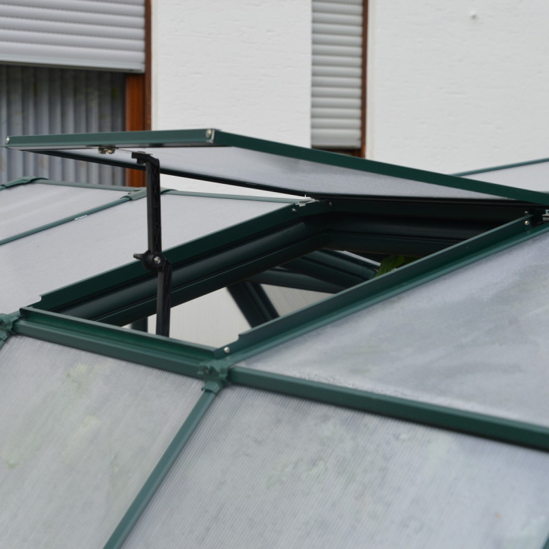 Lucarne pour serre de jardin Grand/Prestige/Hobby - RION