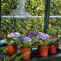 Double étagère pour serre de jardin - Rion
