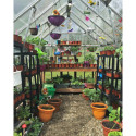 Serre de jardin en alu et polycarbonate 8,9m² Octave™ Silver – Canopia