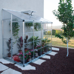 Serre adossée en alu et polycarbonate 3,05m² Silver Hybrid - Palram