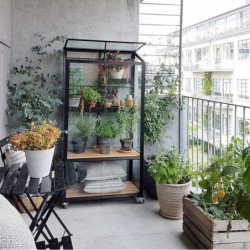 Serre urbaine en verre trempé avec roulettes City Greenhouse - Juliana