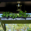 Jardinière faîtière en aluminium pour cultures en hauteur – Juliana