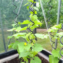 Lot de 3 Tuteurs spirales pour plantes grimpantes - Juliana