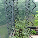 Lot de 3 Tuteurs spirales pour plantes grimpantes - Juliana