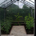 Lot de 3 Tuteurs spirales pour plantes grimpantes - Juliana