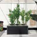 Jardinière à réserve d'eau pour auto-arrosage - Juliana