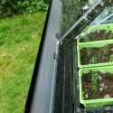 Serre de jardin 3,9m² noire en verre trempé Qube - Halls