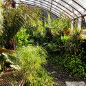 Serre adossée Harmonie Montesquieu sur muret 2,8x3,8m en verre trempé - Lams