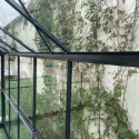 Serre de jardin Prima 7,42m² en aluminium anthracite et verre trempé 4mm - Green Protect