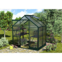 Serre de jardin en alu vert et polycarbonate 4mm - Apollo 2500 - Vitavia