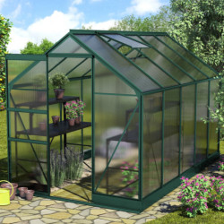 Serre de jardin en alu vert et polycarbonate 6mm - Apollo 6200 - Vitavia