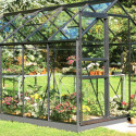 Serre de jardin 6,2m² NOIRE et verre Popular + embase noire Halls