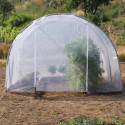 Serre tunnel de culture pieds droits 12m² - 3x4m - 200 microns RICHEL