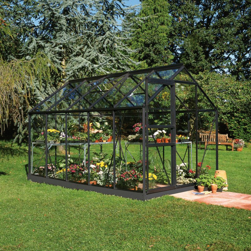 Serre de jardin 6,2m² en aluminium noir et verre trempé Popular - Halls