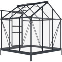Serre de jardin en aluminium anthracite et verre trempé 4mm RINCA 3,5m² + embase - Green Protect