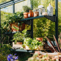 Etagère en aluminium laqué 25x73cm pour serres de jardin - Lams