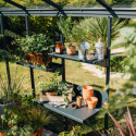 Etagère en aluminium naturel 50x73cm pour serres de jardin - Lams	