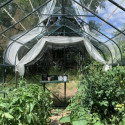 Système d’ombrage pour serres en aluminium laqué vert Carvi et Laurus 8,10m² - Lams