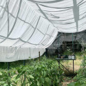 Système d’ombrage pour serres en aluminium laqué vert Carvi et Laurus 8,10m² - Lams