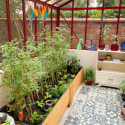 Serre de jardin LUXIA Rétro sur muret 12,50m² en aluminium laqué et verre trempé 4mm - Lams