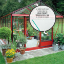 Serre de jardin LUXIA Rétro sur muret 18,70m² en aluminium laqué et verre trempé 4mm - Lams