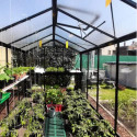 Serre de jardin R204H 6,91m² en aluminium noir et verre trempé BLACKLINE – ACD